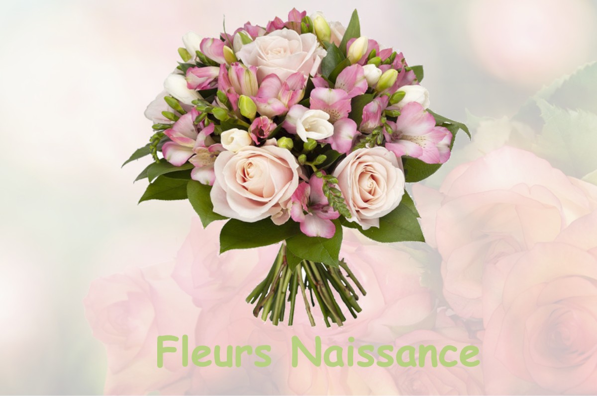 fleurs naissance MOY-DE-L-AISNE